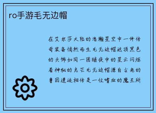 ro手游毛无边帽